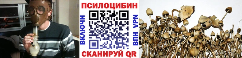 Псилоцибиновые грибы MAGIC MUSHROOMS  kraken ONION  Дубна  купить закладку 